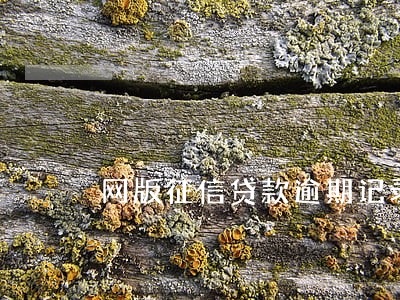 网版征信贷款逾期记录显示 网版征信贷款逾期记录显示