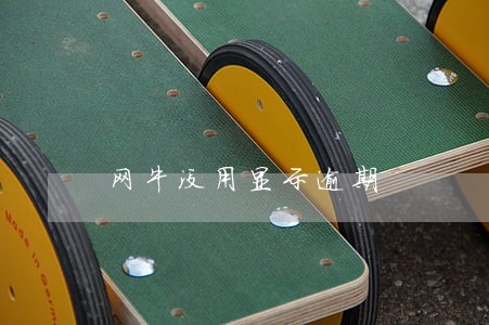 网牛没用显示逾期