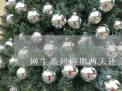 网牛系列逾期两天还了还能用吗 网牛系列逾期两天还了还能用吗
