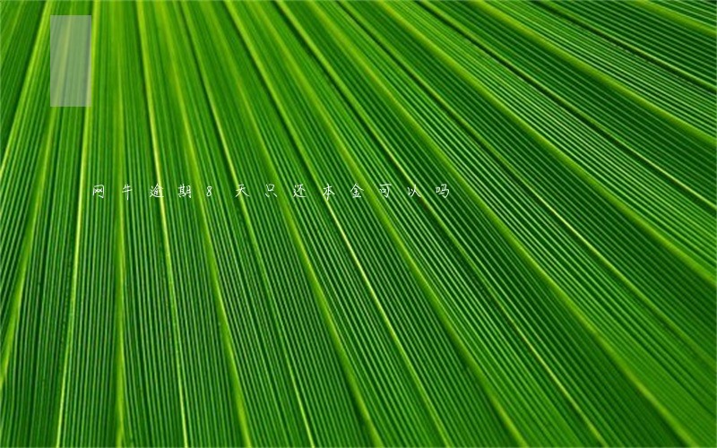 网牛逾期8天只还本金可以吗 网牛逾期8天只还本金可以吗