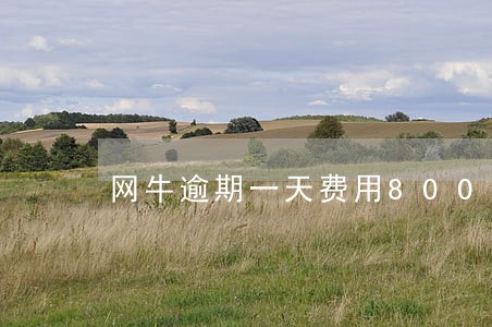 网牛逾期一天费用800 网牛逾期一天费用800