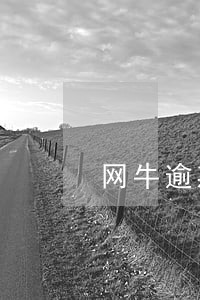 网牛逾期三天催收 网牛逾期三天催收