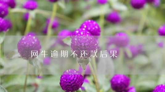 网牛逾期不还款后果 网牛逾期不还款后果