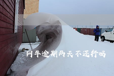 网牛逾期两天不还行吗 网牛逾期两天不还行吗