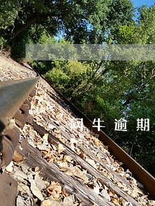 网牛逾期两天催收 网牛逾期两天催收
