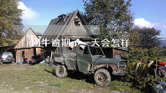 网牛逾期了一天会怎样 网牛逾期了一天会怎样