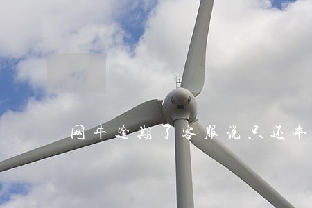 网牛逾期了客服说只还本金 网牛逾期了客服说只还本金
