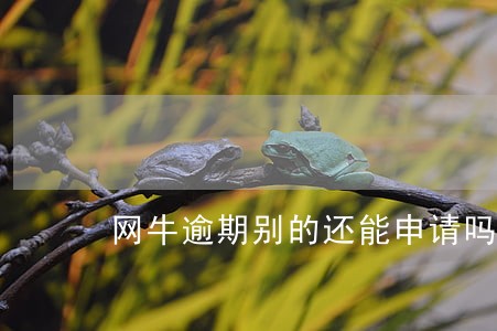 网牛逾期别的还能申请吗 网牛逾期别的还能申请吗