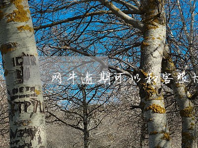 网牛逾期可以和客服协商吗 网牛逾期可以和客服协商吗