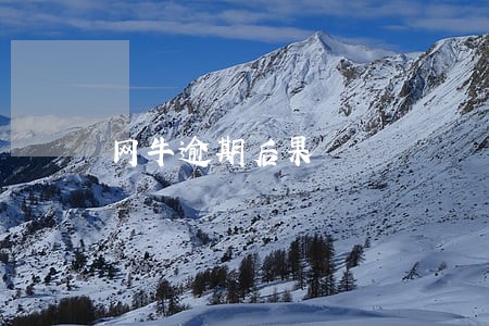 网牛逾期后果 网牛逾期后果