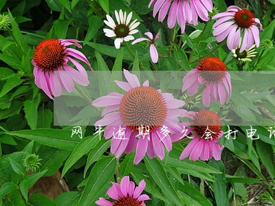 网牛逾期多久会打电话 网牛逾期多久会打电话