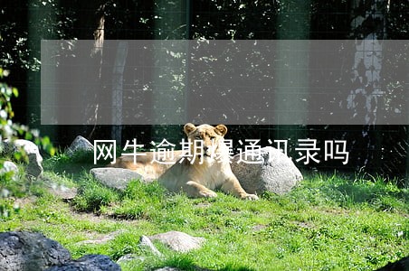 网牛逾期爆通讯录吗 网牛逾期爆通讯录吗