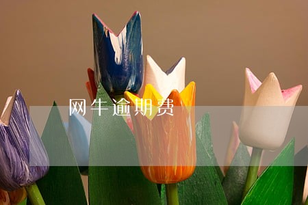 网牛逾期费 网牛逾期费