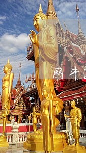 网牛逾期费1万多 网牛逾期费1万多