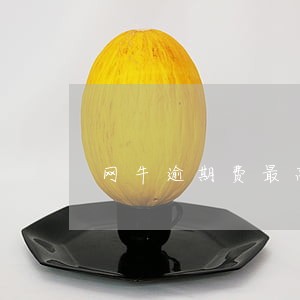 网牛逾期费最高多少钱