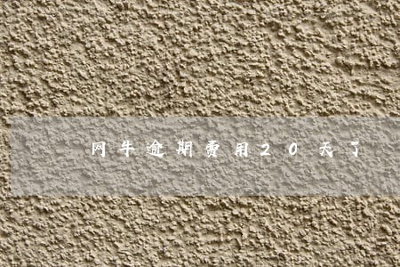 网牛逾期费用20天了 网牛逾期费用20天了