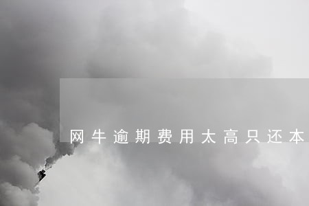 网牛逾期费用太高只还本金嘛 网牛逾期费用太高只还本金嘛