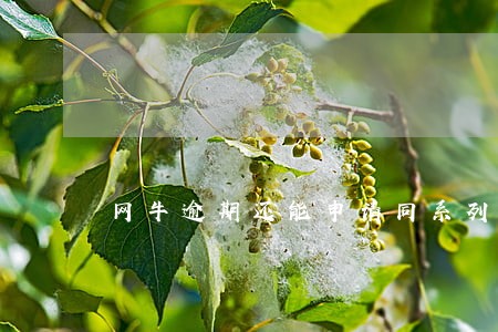 网牛逾期还能申请同系列么 网牛逾期还能申请同系列么