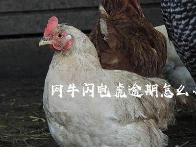 网牛闪电虎逾期怎么办