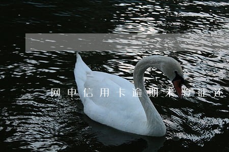 网申信用卡逾期未验证还能用吗