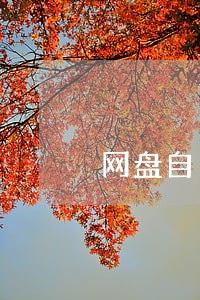 网盘自己看违法吗 网盘自己看违法吗
