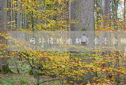 网站借钱逾期了会不会被爆通讯录