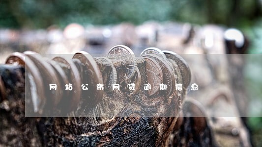 网站公布网贷逾期信息 网站公布网贷逾期信息