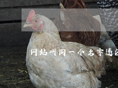 网站叫同一个名字违法吗 网站叫同一个名字违法吗