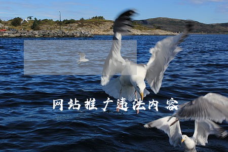 网站推广违法内容 网站推广违法内容