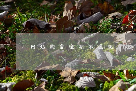 网站购票逾期不退款