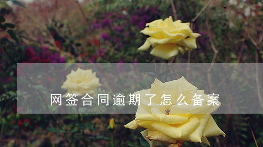 网签合同逾期了怎么备案 网签合同逾期了怎么备案