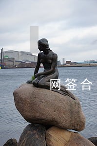 网签合同逾期未签 网签合同逾期未签