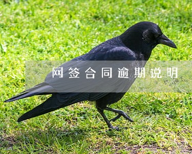 网签合同逾期说明 网签合同逾期说明