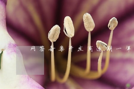 网签备案开发商逾期一年 网签备案开发商逾期一年