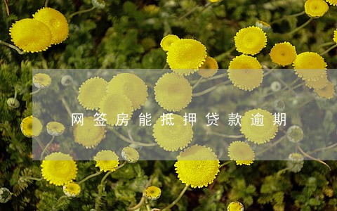 网签房能抵押贷款逾期 网签房能抵押贷款逾期