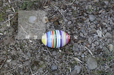 网签逾期违约金 网签逾期违约金