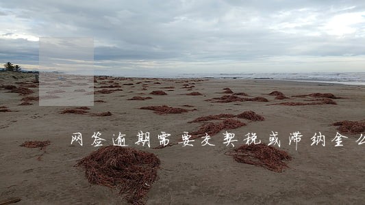 网签逾期需要交契税或滞纳金么 网签逾期需要交契税或滞纳金么