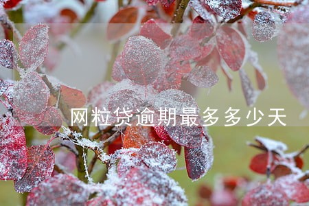 网粒贷逾期最多多少天 网粒贷逾期最多多少天