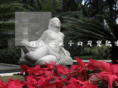 网红企业子公司贷款逾期 网红企业子公司贷款逾期