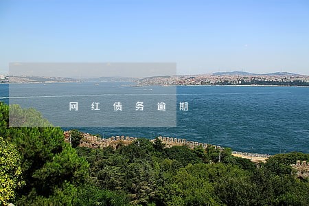 网红债务逾期 网红债务逾期