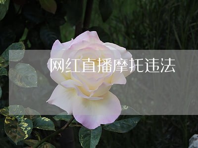 网红直播摩托违法