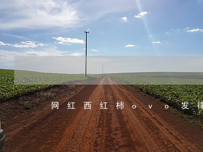 网红西红柿ovo发律师函维权后 网红西红柿ovo发律师函维权后