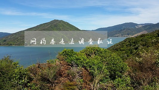 网约房违法调查取证 网约房违法调查取证