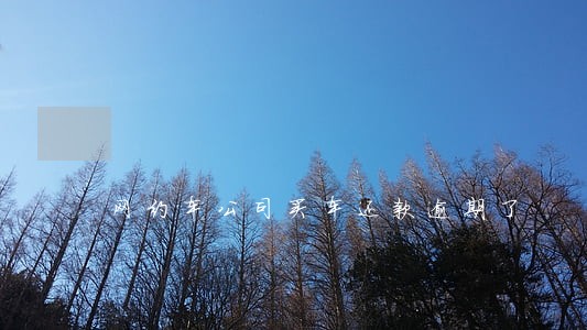 网约车公司买车还款逾期了 网约车公司买车还款逾期了