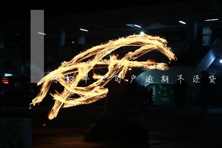 网约车公司户逾期不还贷款 网约车公司户逾期不还贷款