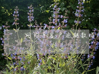 网约车客户逾期数据原因 网约车客户逾期数据原因