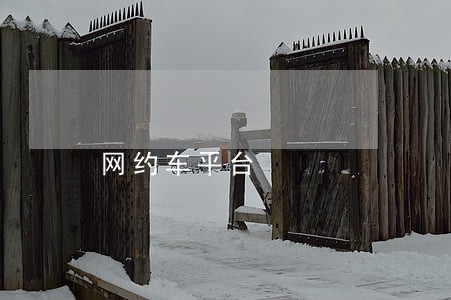 网约车平台 网约车平台