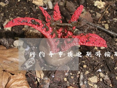 网约车申请逾期将按期办 网约车申请逾期将按期办