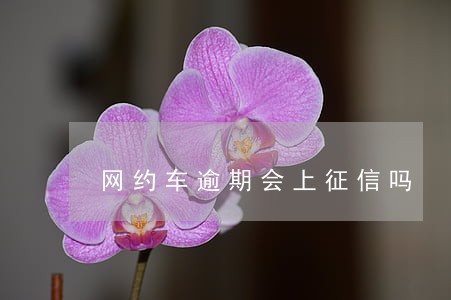 网约车逾期会上征信吗