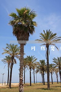 网结贷逾期怎么计算利息 网结贷逾期怎么计算利息